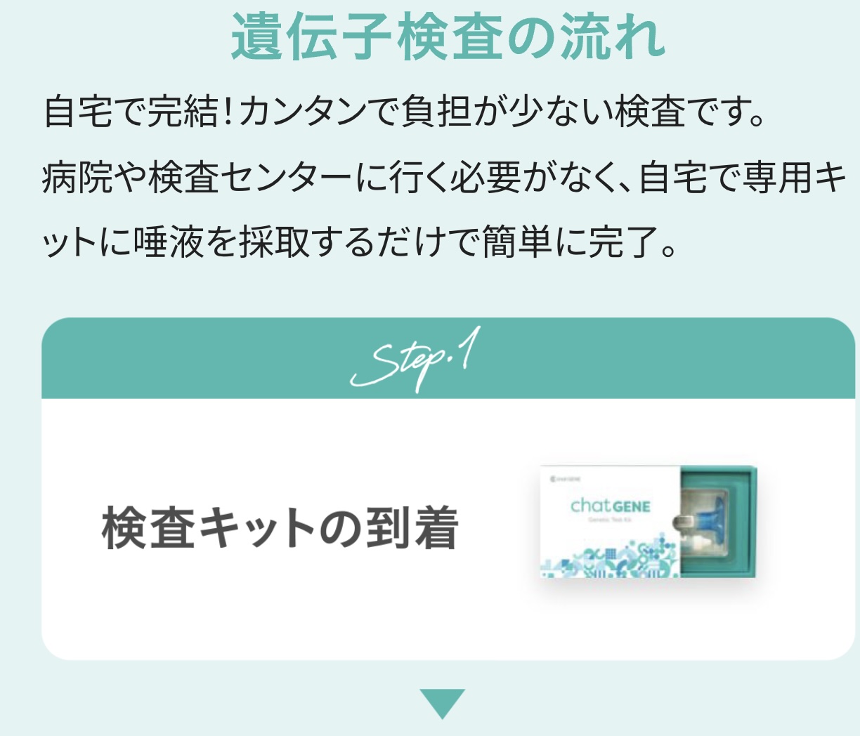 遺伝子検査の流れ